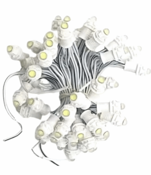 PERFORATED Product Images