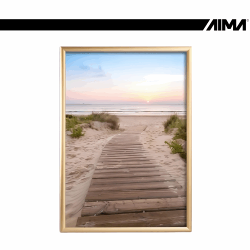 Snap Frame A1