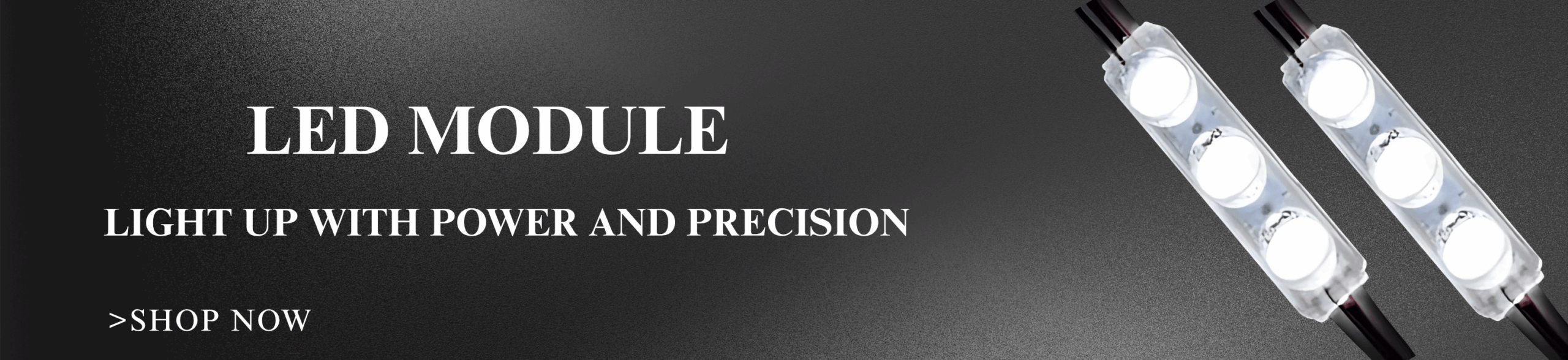 LED MODULE NEW_BANNER