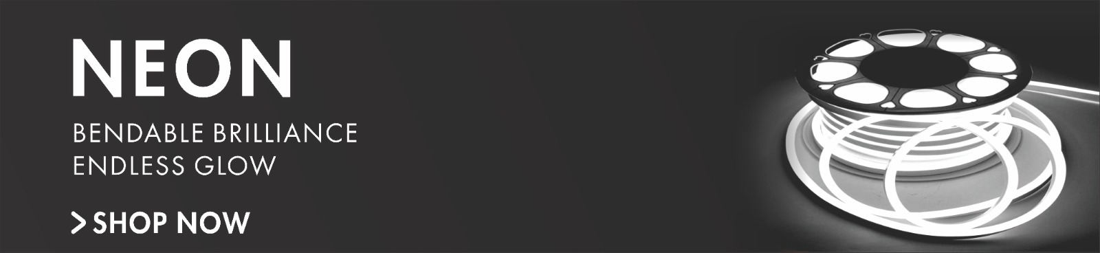 NEON_Banner