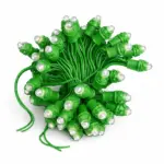 Perforatd Green