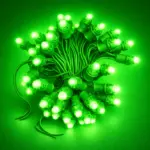 Perforatd Green - Image 2