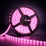 120DS6 - Pink
