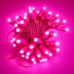 Perforated Pink - Image 2