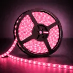120DS6 - Rose Red