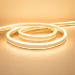 Warm White Neon Light